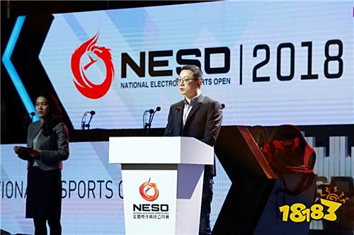 武侯封神 NESO2018总决赛盛大开幕