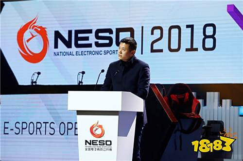 武侯封神 NESO2018总决赛盛大开幕