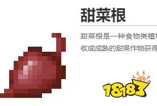 我的世界甜菜根