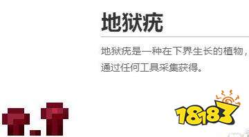 我的世界地狱疣