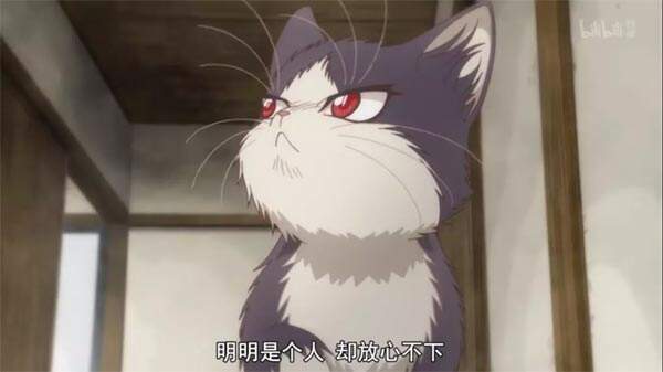 推新番:「同居人是猫」你永远不知道猫在想什么?