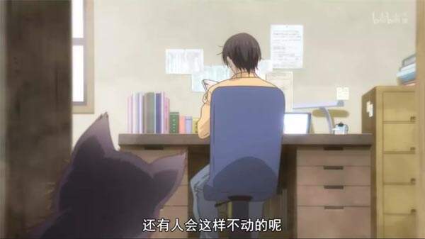 推新番:「同居人是猫」你永远不知道猫在想什么?