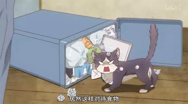 推新番:「同居人是猫」你永远不知道猫在想什么?