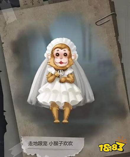 第五人格1月31日更新公告 宿伞之魂东风遥上架