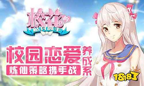 校花的贴身高手以前版