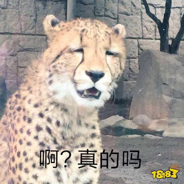 阴阳师苍风一目连攻略 御魂搭配及用法