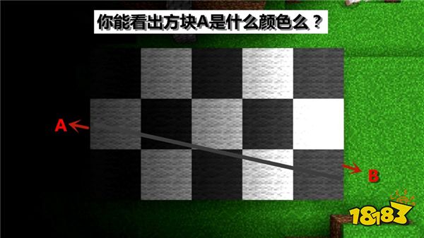 我的世界五张让人产生错觉的图 看到最后怀疑人生