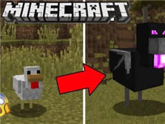 我的世界：竟然有玩家都没见过神秘隐藏BOSS？