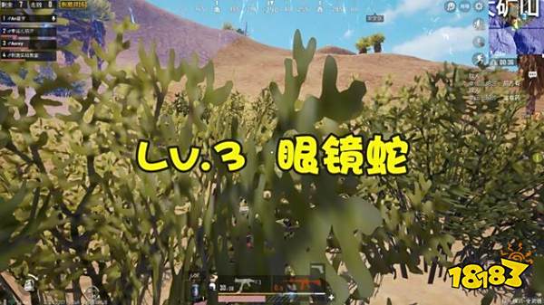 和平精英伏地魔玩家盘点 最后一个比普通玩家强