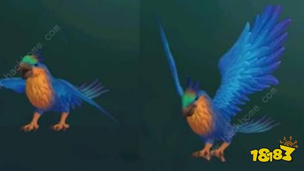 创造与魔法金刚鹦鸟怎么样 金刚鹦鸟属性一览