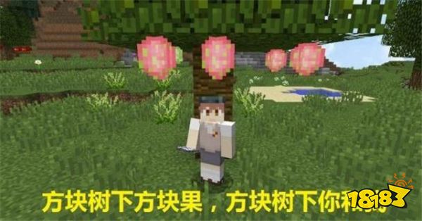 我的世界最出名的五句名言 老玩家听了感慨万千