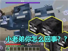 我的世界：MC里五种坑爹作死的奇葩死法！