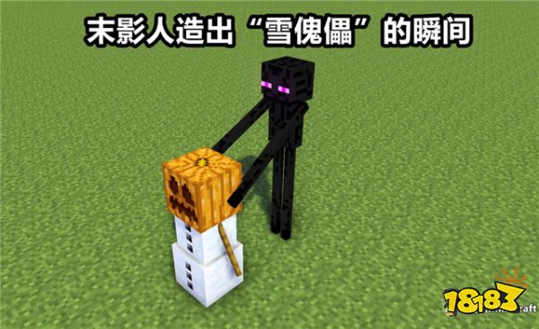 我的世界最罕见的精彩瞬间 末影人洗澡瞬间曝光