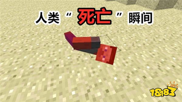 我的世界最罕见的精彩瞬间 末影人洗澡瞬间曝光