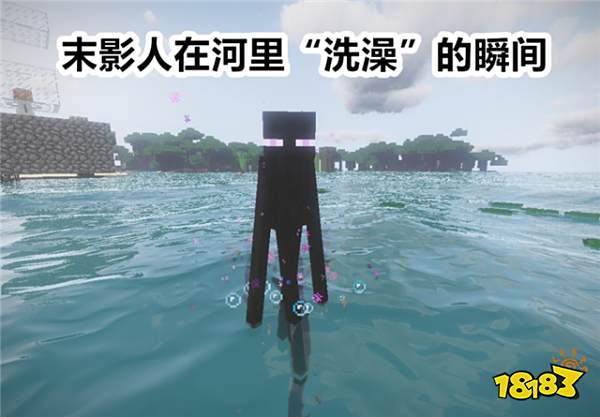 我的世界最罕见的精彩瞬间 末影人洗澡瞬间曝光