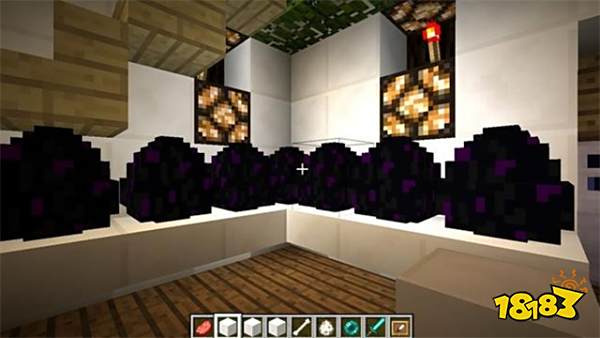 我的世界最稀有的方块 这东西居然只有一个