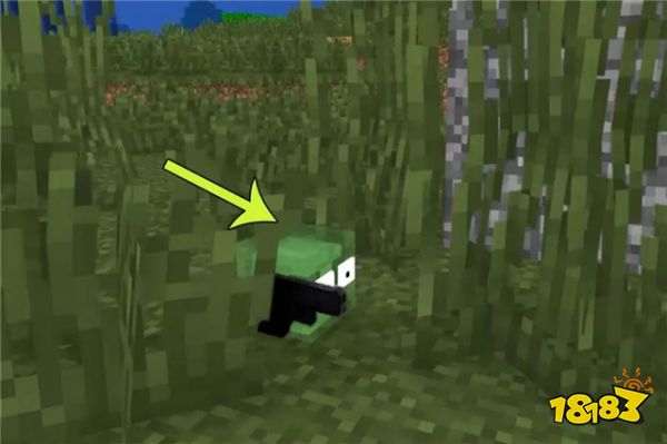 我的世界玩吃鸡会发生什么 吃鸡mod了解一下