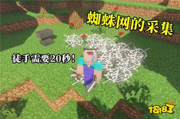 我的世界蜘蛛网的多种用途 萌新表示根本没用
