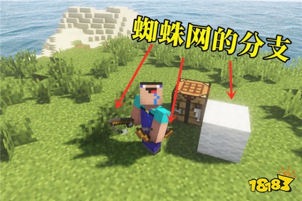 我的世界蜘蛛网的多种用途 萌新表示根本没用