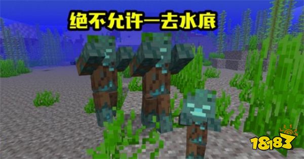 我的世界绝对不能干的事 干了这些的玩家都哭了