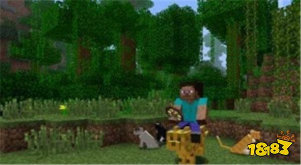 我的世界最让人难忘的恐怖事件 萌新都快吓哭了