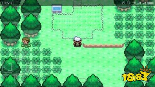 口袋妖怪神兽领域