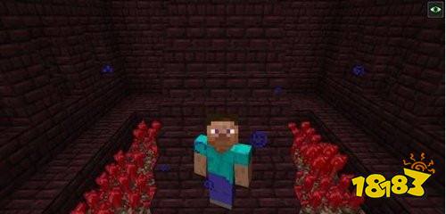 我的世界灵魂沙特性介绍 我的世界灵魂沙有什么用