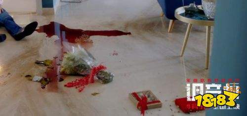 256-1Z40Q11101.jpg@!18183