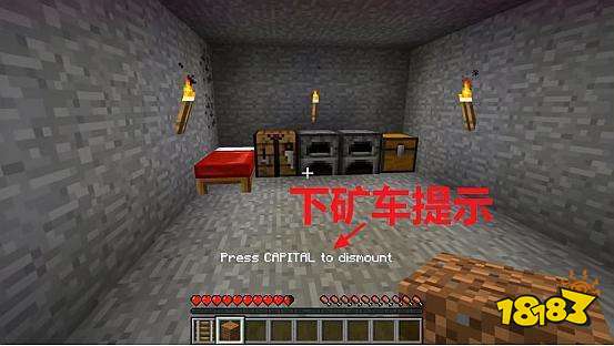 我的世界隐藏路口技巧 无需红石机关