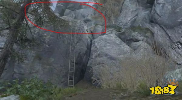 明日之后茅斯沼泽箱子