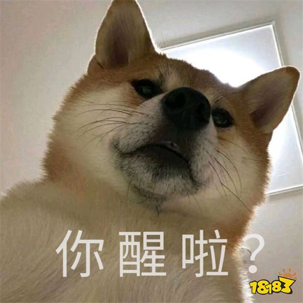 你醒啦赛博朋克2077提早57年发售