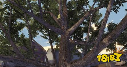 明日之后花瓣树飘叶树位置坐标一览