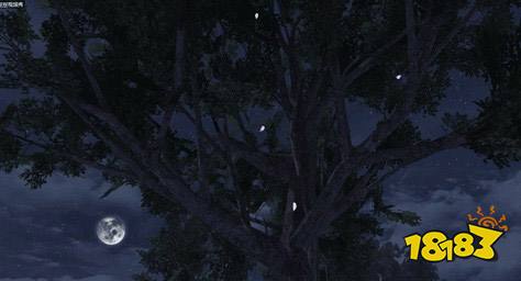 明日之后花瓣树飘叶树位置坐标一览