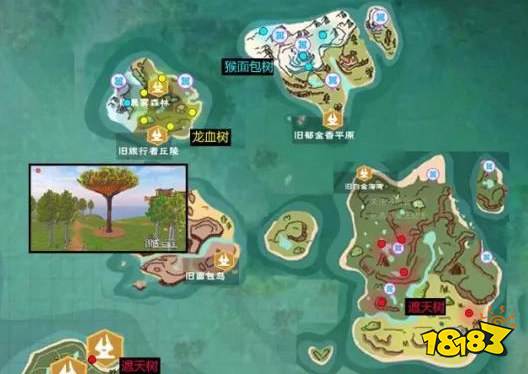 创造与魔法龙血树分布 龙血树种子怎么得