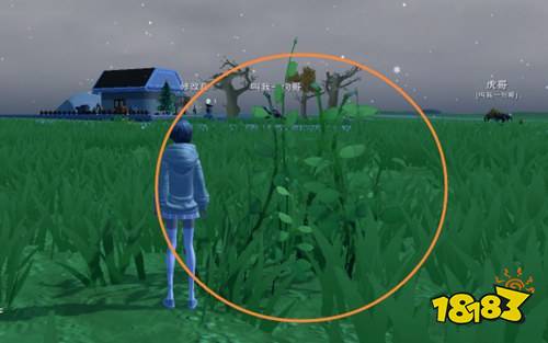 创造与魔法黄豆在哪 黄豆食谱