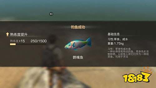 明日之后里的鱼除了烹饪还有什么其他用处