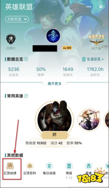 云顶之弈战绩查询 如何查自己的战绩