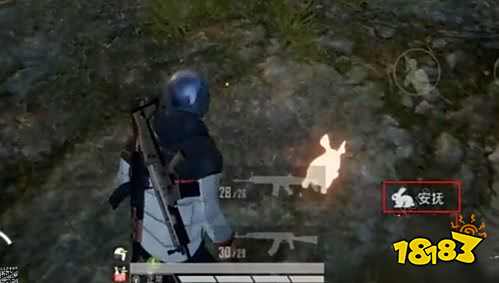 和平精英兔子如何取消跟随 兔子取消跟随攻略