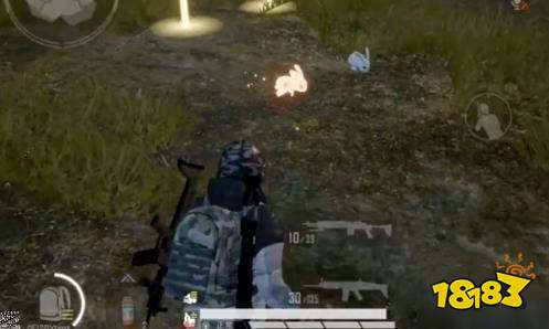 和平精英兔子如何取消跟随 兔子取消跟随攻略