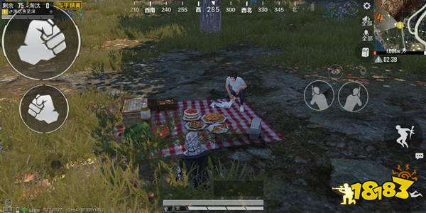 和平精英枫叶林野炊怎么玩手机 枫叶林彩蛋