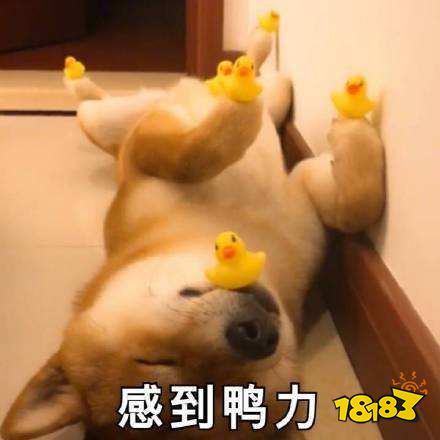 虎牙人气主播集结!2019QQ手游巡回赛首战来袭不容错过!