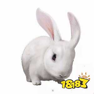 和平精英中秋月兔模式爆料 赏花观月放河灯