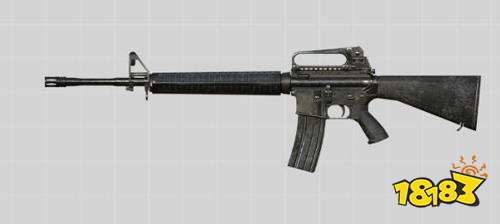 和平精英762和556步枪哪个好 对比分析选择推荐