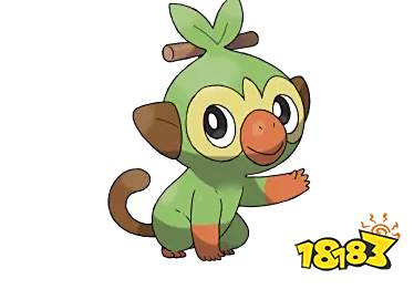 宝可梦剑盾敲音猴子怎么进化 敲音猴技能一览