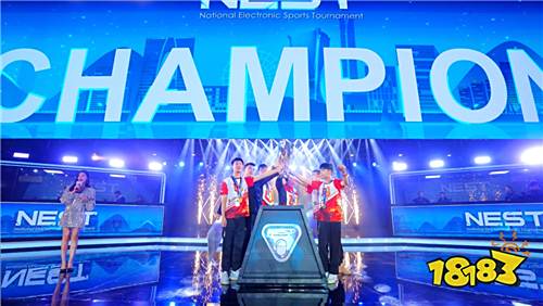高手如云,勇登巅峰!NEST2019年度总决赛杭州落幕!