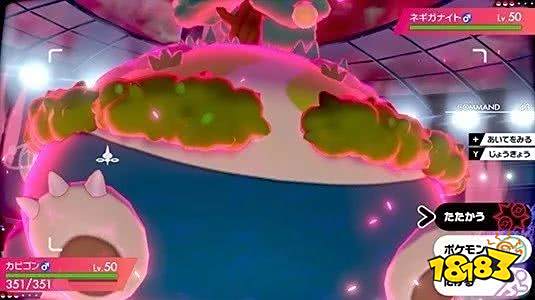 宝可梦剑盾超极化卡比兽登场 12月4日开始配信