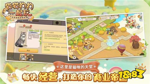 猫猫狗狗一起玩