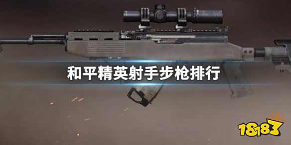 和平精英哪些射手步枪最好用 射手步枪排行 