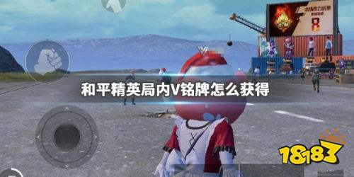 和平精英局内V铭牌怎么获得 名字旁边的V标志获得方法