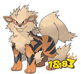 宝可梦剑盾晴天队怎么样 晴天队伍分享